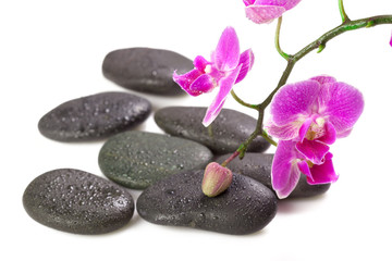 Obraz na płótnie Canvas zen stone and orchid. spa concept