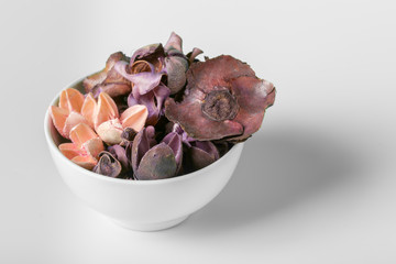 set of dry autumn plants and leaves, dried petals and flowers, simple rustic branches and wheat bunch on white