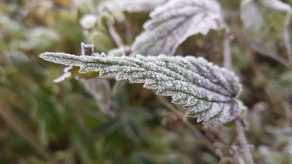 Hoarfrost - Kirchdorf - Austria