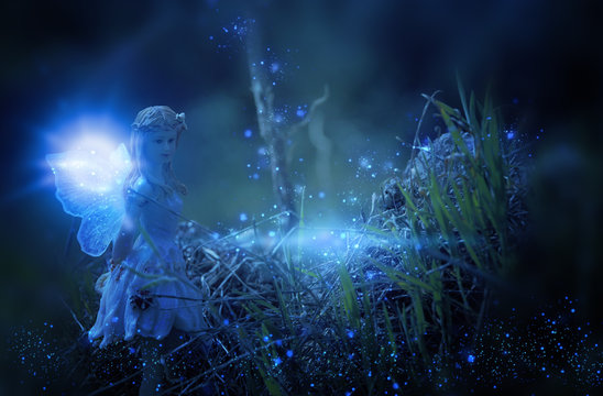 image of magical little fairy in the night forest.