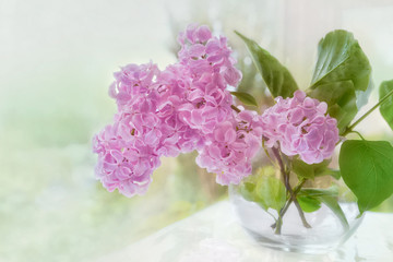 Branch of purple lilac in vase