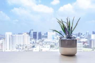 flower pot on the wooden table at the window of the living room in condominium with city view. urban lifestyle concept with copy space.