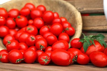 Fresh tomato crop in a wooden bowl