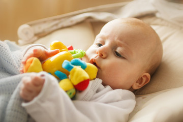 a small child lies and plays with a toy. baby with a toy in his mouth