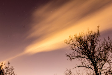 Obraz na płótnie Canvas Night sky in Dubrovitsy. Podolsk, Russia.