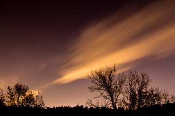 Night cloud and stars above the winter forest