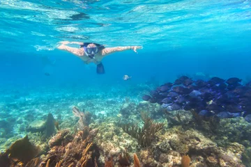 Fototapete Young woman snorkeling in the tropical water of Mexico © Patryk Kosmider
