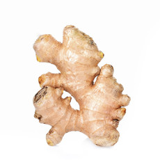 Ginger fresh  on white background