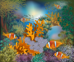 Underwater tropical card with clownfish, vector illustration
