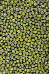 mung bean