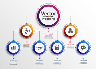 Business hierarchy organogram chart infographics. Corporate organizational structure graphic elements. Infographic design template with circles. Vector eps 10