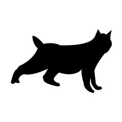 black bobcat silhouette on white background