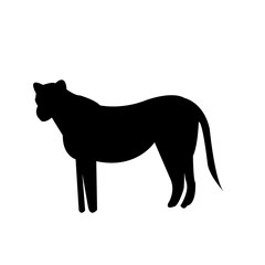 black lioness silhouette on white background