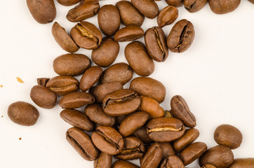 Coffee beans isolated