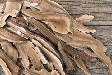 Dried lingzhi mushroom