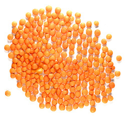 lentils, lentil seeds