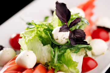 Dish mix of salad with tomatoes and mozzarella