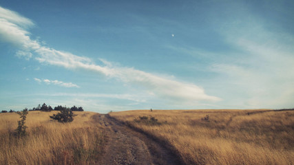 Landscape with a road