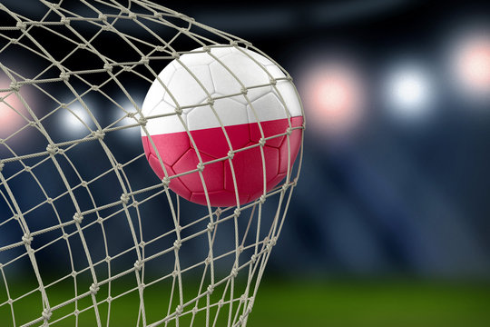 Polish soccerball in net