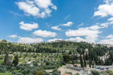 Fototapeta na wymiar mount of olives in Jerusalem, Israel