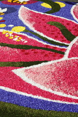 Multicolored floral carpet