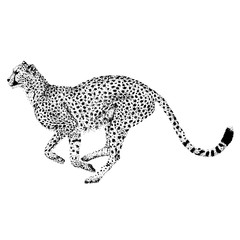 Running Cheetah - Dotted Point Design 
