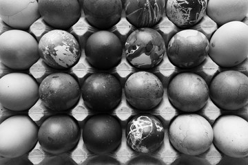 Painted Easter eggs in egg carton, festive background, black and white