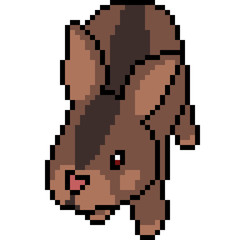 Fototapeta premium vector pixel art bunny