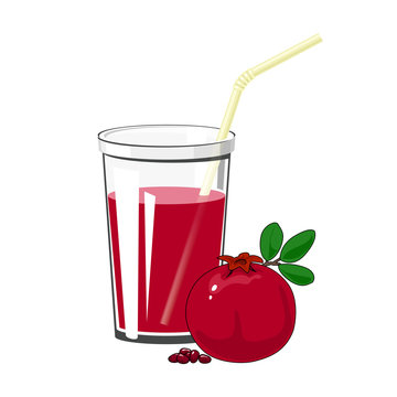 Glass with Fresh Fruit Juice with Pomegranate and a Straw Isolated on a White Background , Summer Time, Vector Illustration