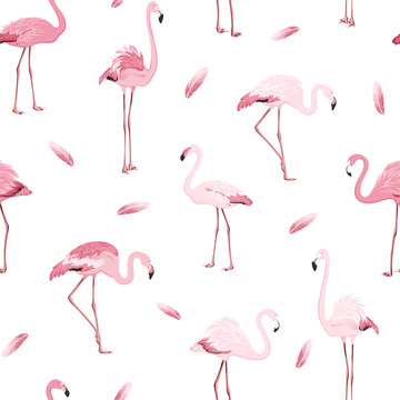 Exotic pink flamingos colony flamboyance flock feather seamless pattern on clean white background. Wading bird species realistic detailed vector design illustration. Vector design illustration.