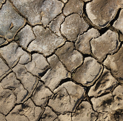 Cracked ground on a field.