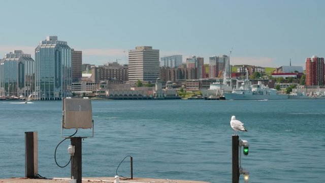 Halifax Nova Scotia city skyline from the ocean water