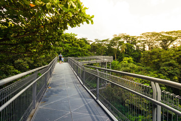 Part of the Southern Ridges in Singapore