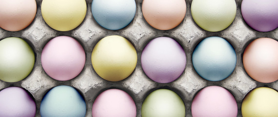 Eater eggs in a carton