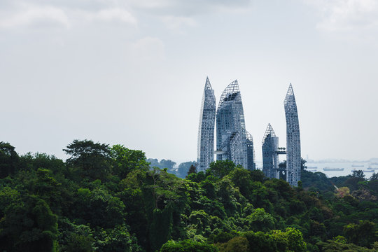 Reflections at Keppel Bay and a forest