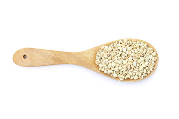 Job's tears in the wooden spoon   isolated on white background with clipping path.