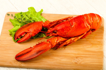Lobster