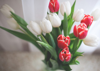 A bouquet of tulips is red and white. Spring concept. Top view