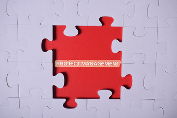 Puzzle with the word:PROJECT MANAGEMENT