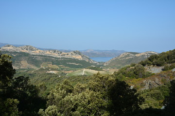 Fototapeta na wymiar Corse, vue du Col de Teghime 535 m, vers le Golfe de Saint-Florent.