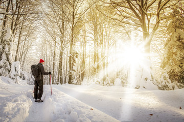 Fototapeta na wymiar Hiker walking on a snowy mountain