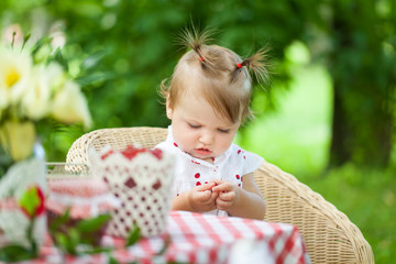 Bright summer berry party in park © Olga Gorchichko