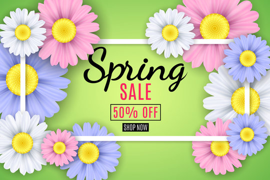 Spring sale banner. Square white frame. Multicolored flowers of chamomile on a light green background. Seasonal flyer. Special offer. Vector illustration