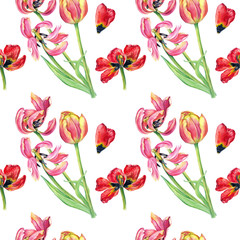 tulips