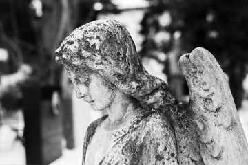 Ancient figure of a stone angel in an old cemetery