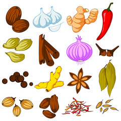 Different spice variety used in cooking