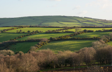 Fototapeta na wymiar Fields on Exmoor near Lynton, Devon, England