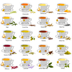Different variety of herbal and medicinal Tea