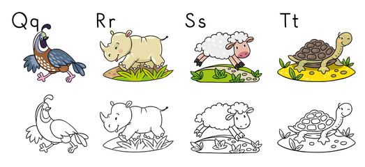 Animals alphabet or ABC. Coloring book