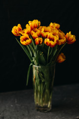 bouquet of tulips on a dark background